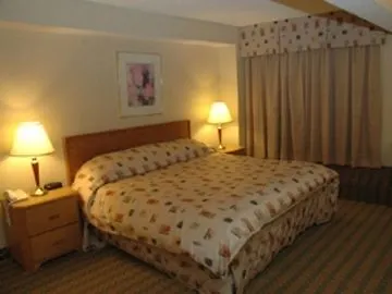 Best Western Barons Hotel & Conference Center Ottawa Kanada